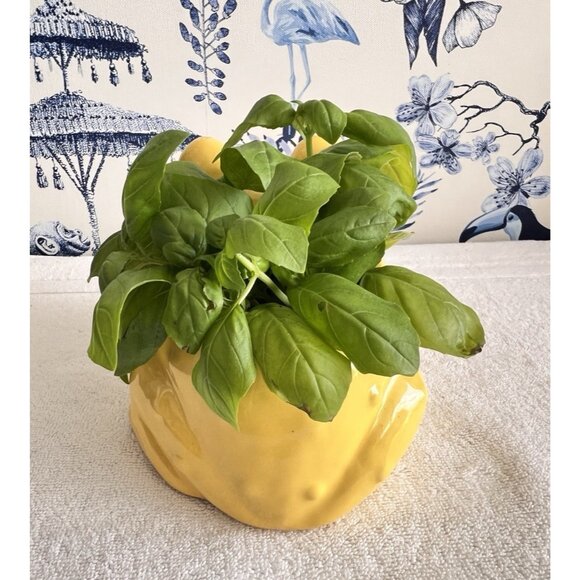 VTG FROG Planter Yellow Pottery 7"L x 5.5"Wx5"H Ceramic House Plants Vase - Picture 4 of 8